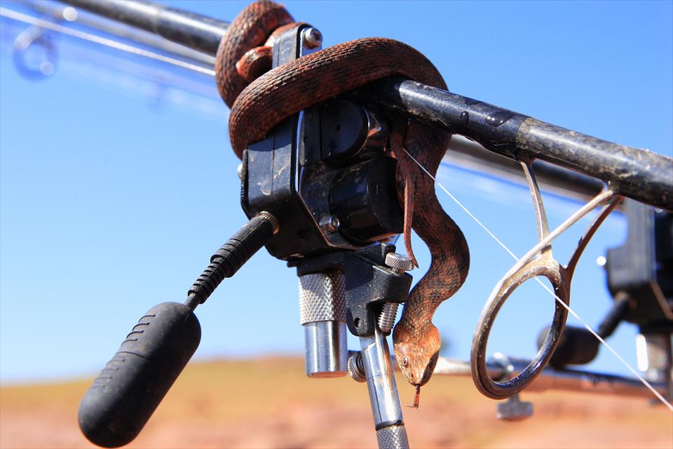 Aventurile lui Ardy in Maroc